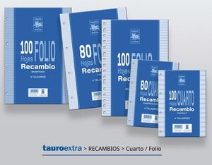 RECAMBIO FOLIO CUADRO 3MM 100H TAURO EXTRA