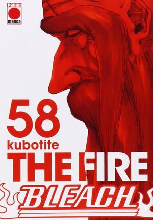BLEACH, 58. THE FIRE