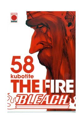 BLEACH, 58. THE FIRE