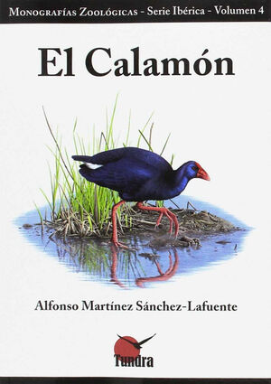 CALAMON EL